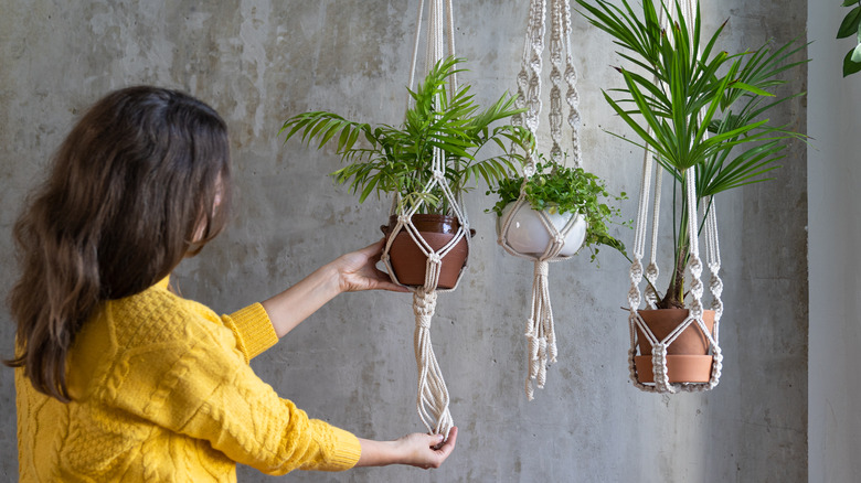 woman looking at hanging plants