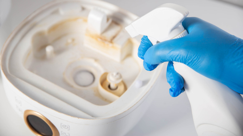 Person spraying cleaner into their humidifier