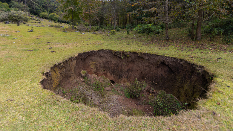 sinkhole in the woods