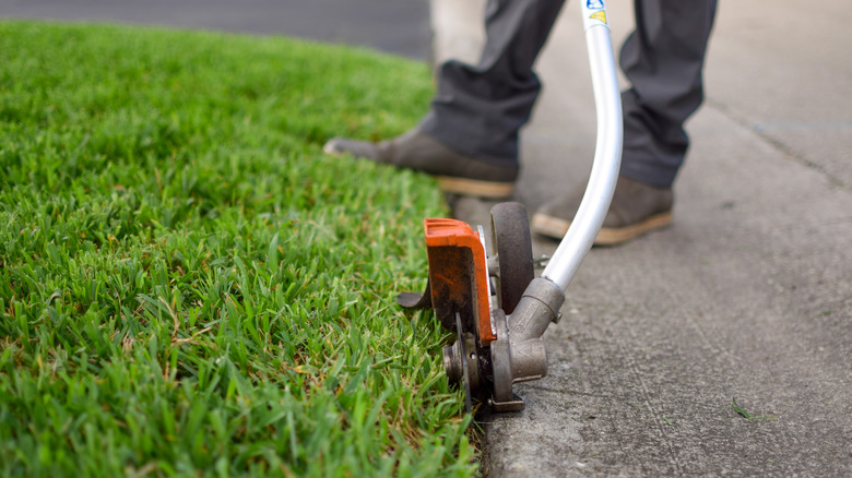 A person uses a stick edger in the grass along a sidewalk