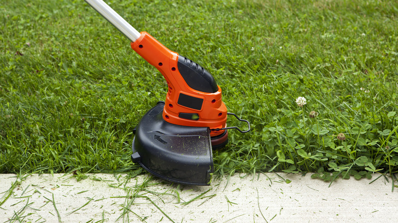 A person uses a string trimmer in the grass along a sidewalk