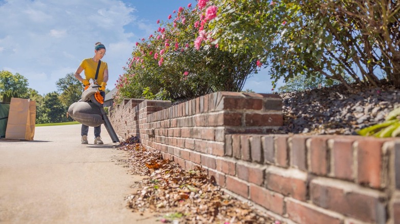A person vacuuming leaves with Stihl's SHA 56 Battery Powered Vacuum Shredder