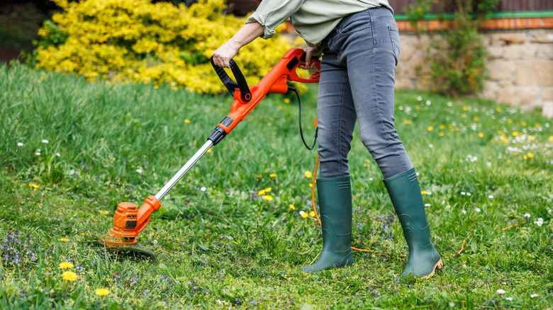 person using weed trimmer in yard