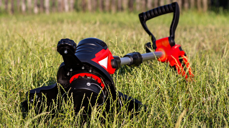 Weed trimmer laying on overgrown yard