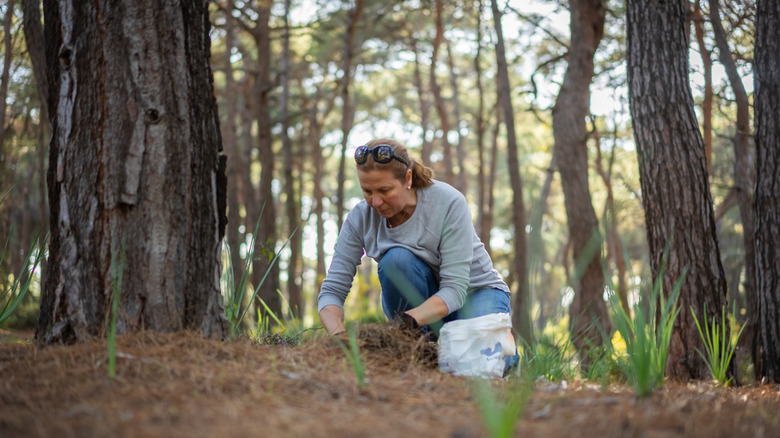 woman removing mushrooms from soil