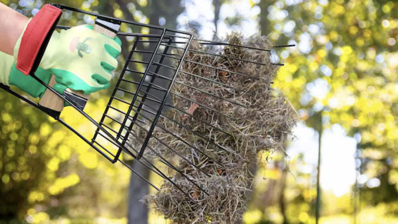 Jardineer leaf scoops moving yard debris