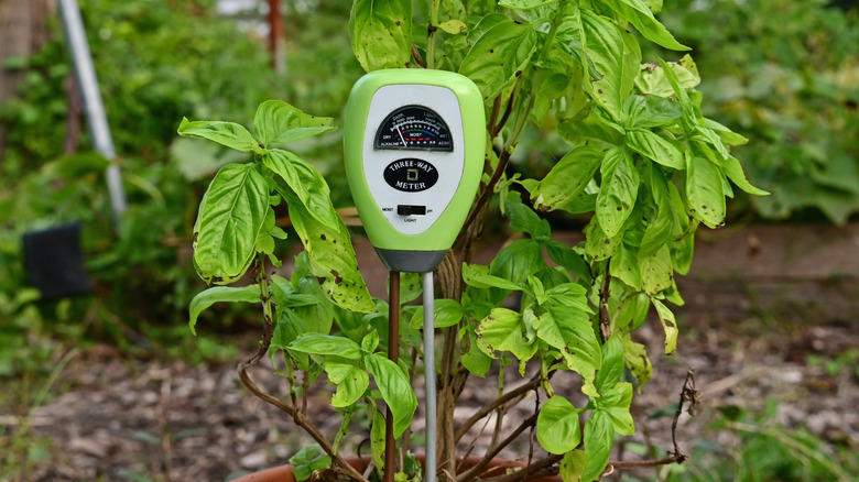 Soil tester in the garden near a plant