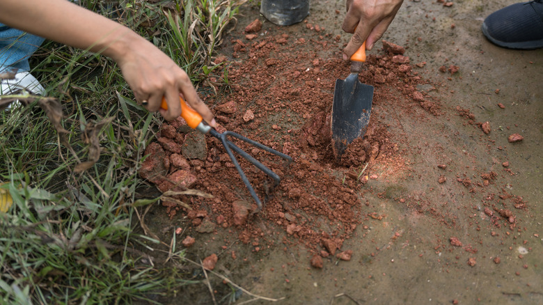 People digging into soil that looks hard and compacted