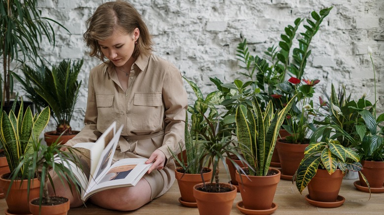 Girl reading by plants