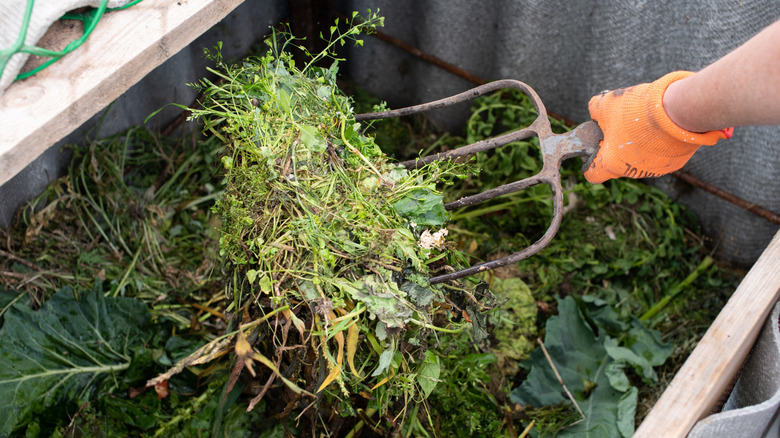 A gardener uses a four-pronged garden fork to turn compost in a large metal bin.