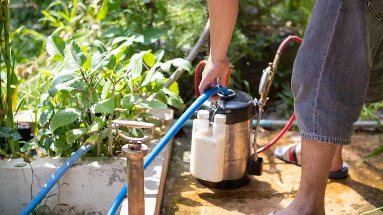 Person in shorts mixing pesticide in sprayer can outdoors