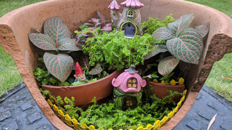 Fairy garden in broken pot