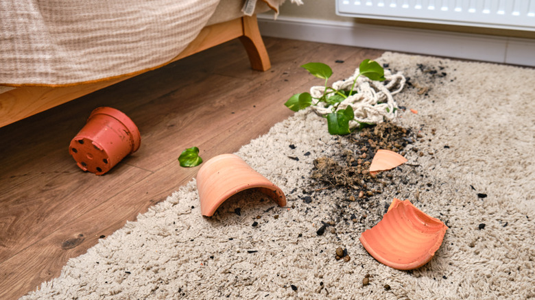 Broken terracotta pot