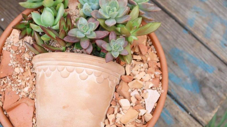 Crushed terracotta pots as plant drainage