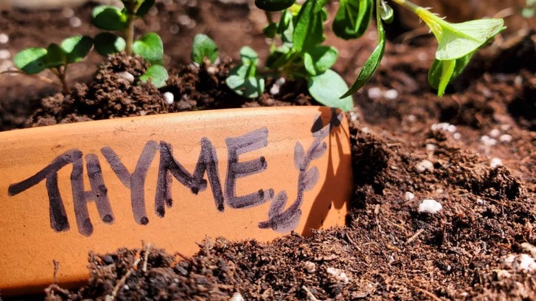 Plant markers from broken terracotta pots