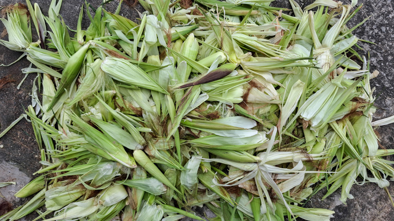Pile of discarded corn husks