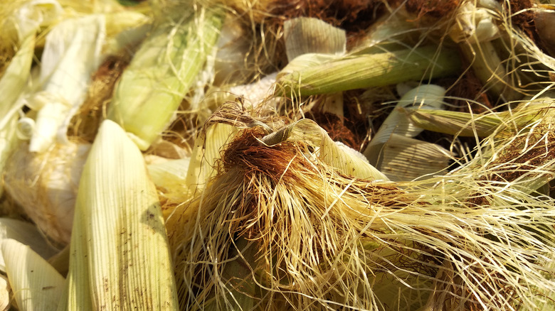Close up of discarded and shucked corn husks