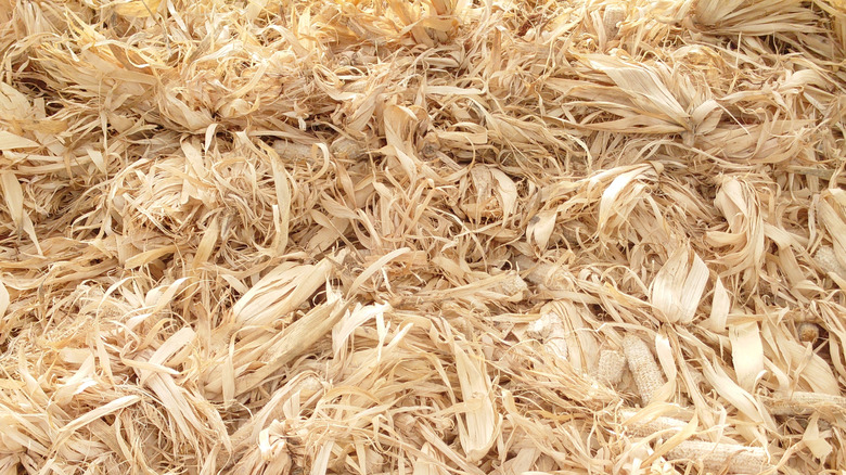 Close up of dried corn husks in pile