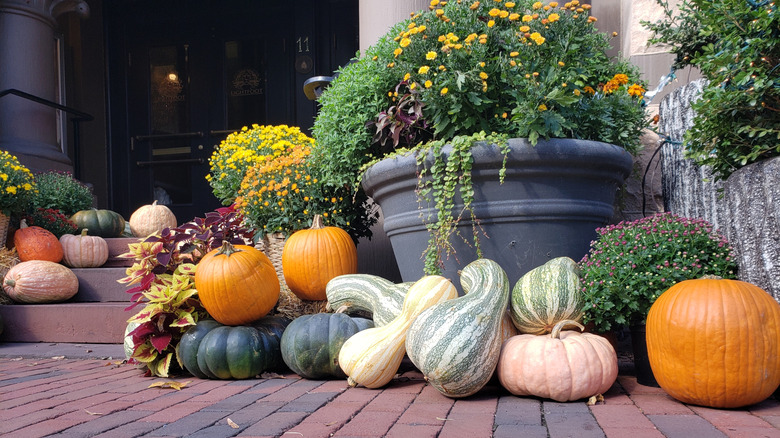 Pumpkins, gourds, and mums on the front porch of a home in fall