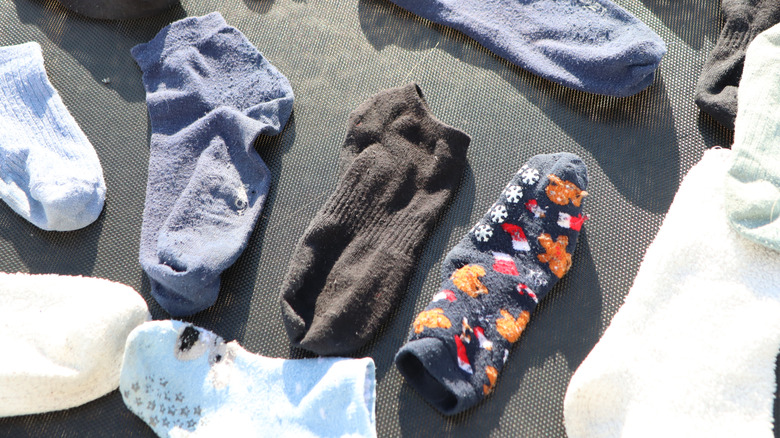 Mismatched socks in the sun.