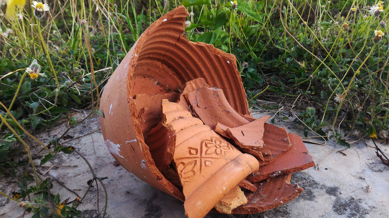 A pile of clay pot pieces rests in the base of the broken pot.