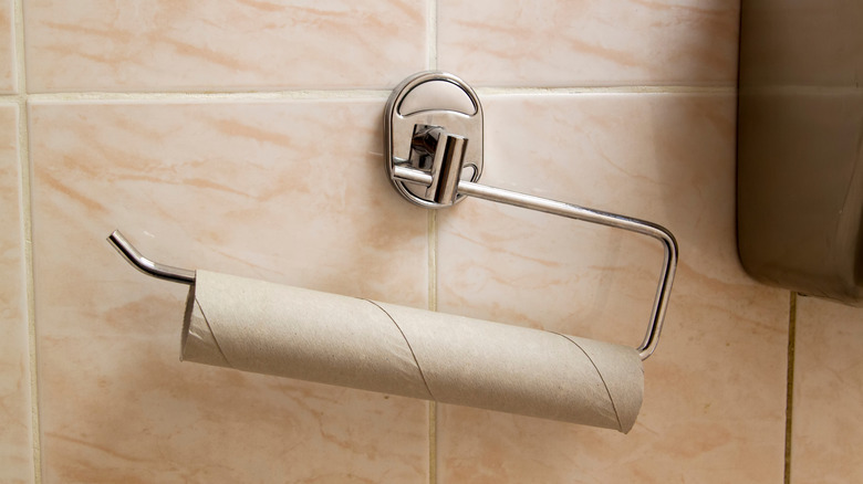 An empty paper towel tube on a wall-mounted steel hanger in a kitchen.