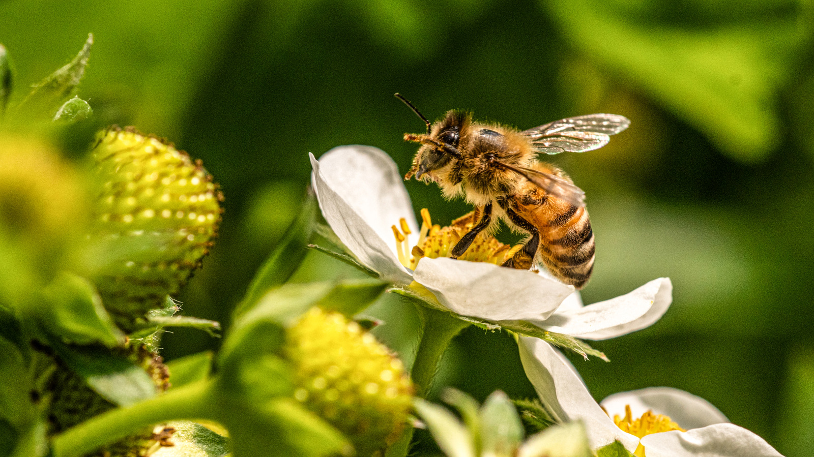 Stop Tossing Tin Cans And Paper: Turn Them Into A Hanging House For Bees
