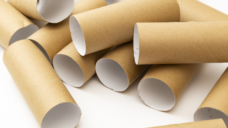 Rolls of empty toilet paper tubes