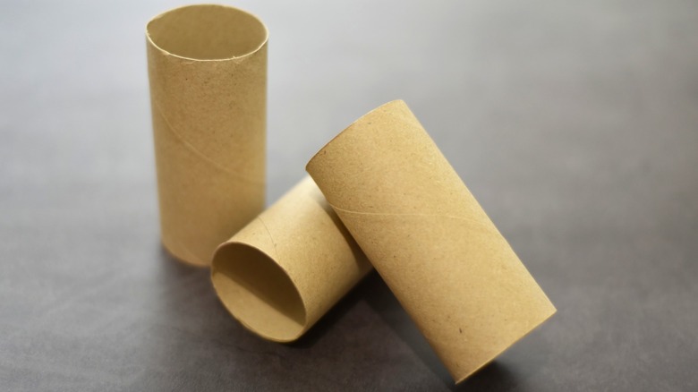 Three empty toilet paper tubes