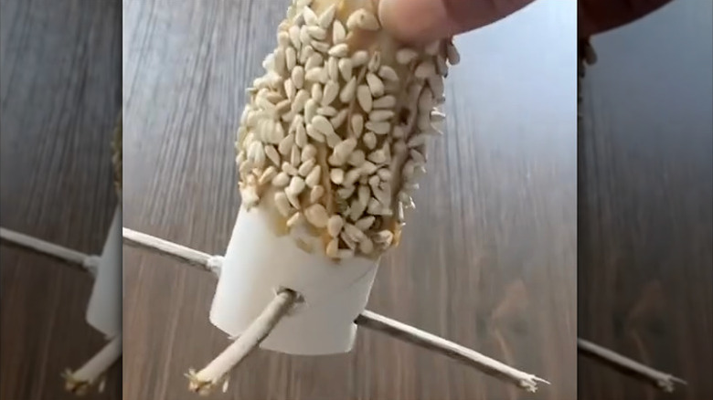 A toilet paper tube rolled in peanut butter and coated with bird seed with sticks extending around the base