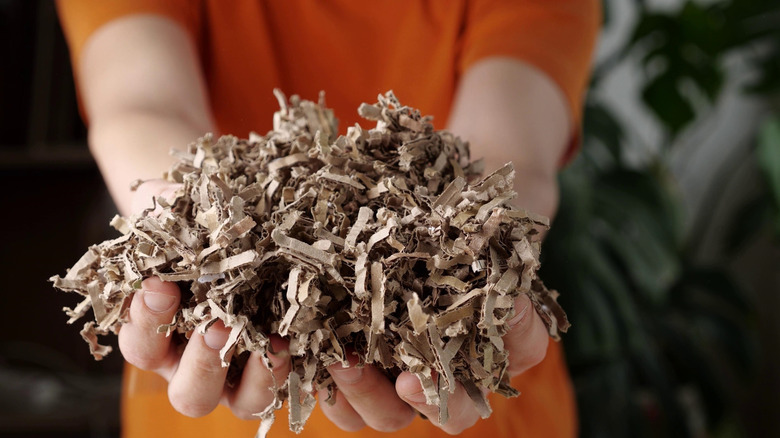 A person holds a pile of shredded toilet paper rolls in their cupped hands.