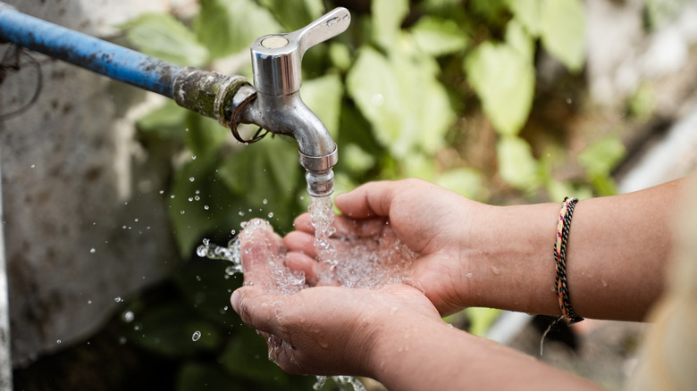 Person washing two hands underneath an outdoor spigot