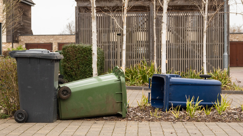 Trash cans knocked over on the sidewalk