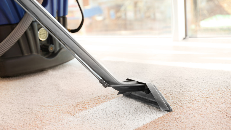 Steam carpet cleaner cleaning white carpet in house