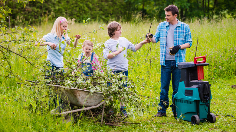 Young family outside using wood chipper for wheelbarrow of branches