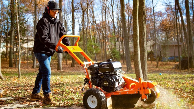 Young man pushing orange and black stump grinder in forested yard