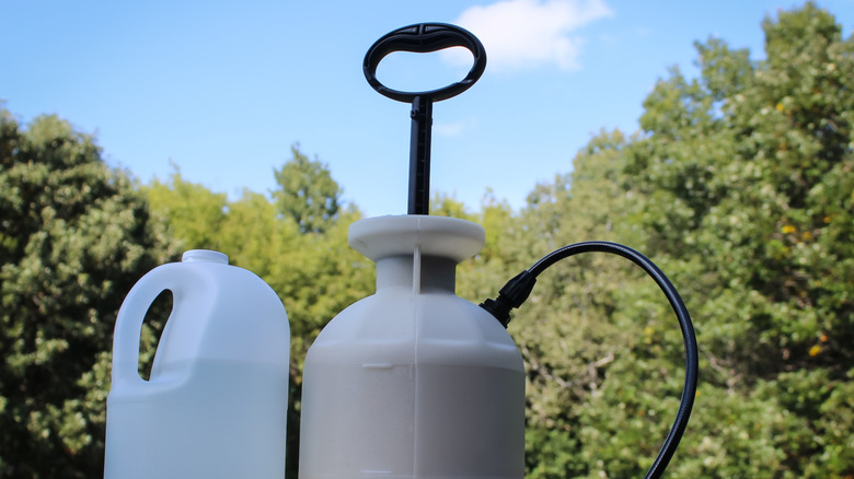 Jug of white vinegar and sprayer.