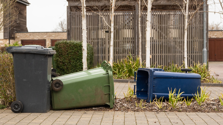 Trash cans knocked over on the sidewalk