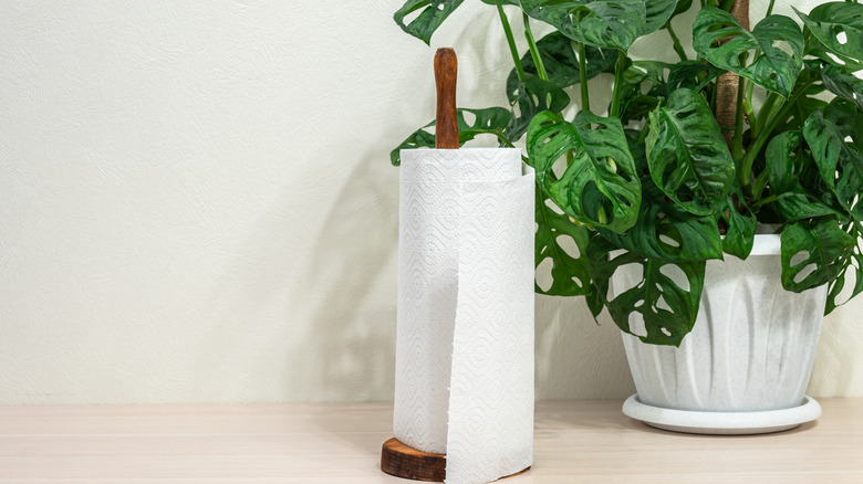 Wooden paper towel holder with paper towel roll on it sitting on counter in front of house plant.