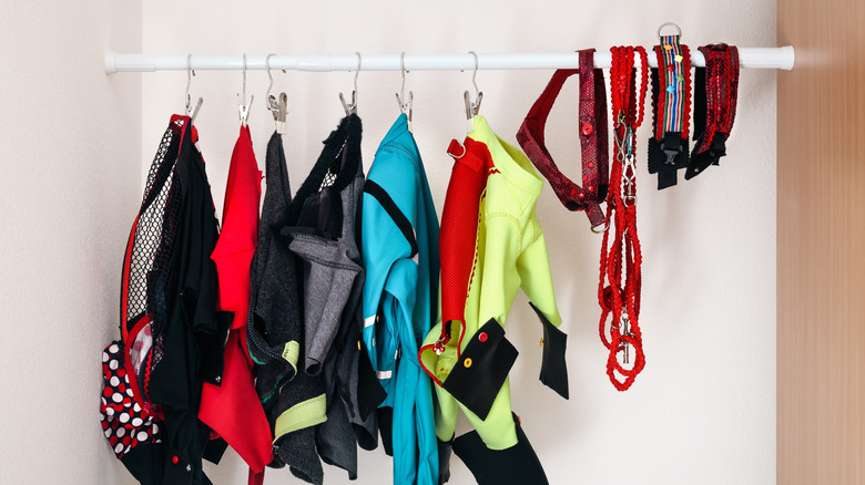 Dog collars and leashes hanging over a closet rod
