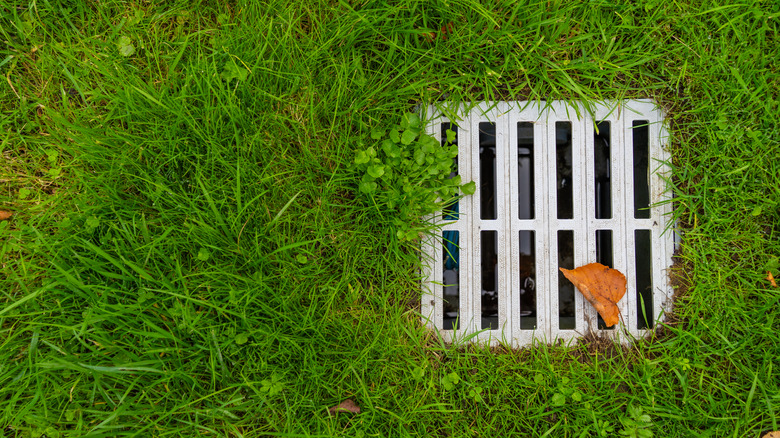 Storm drain in a yard