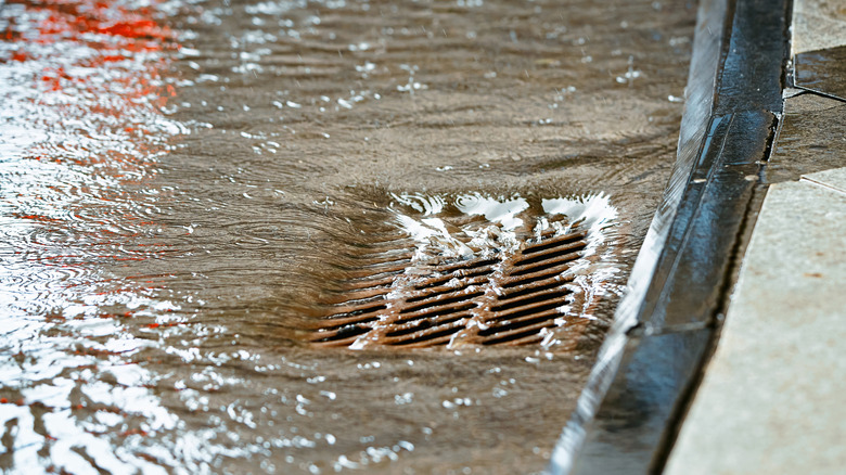 Water flowing over a storm drain in the street