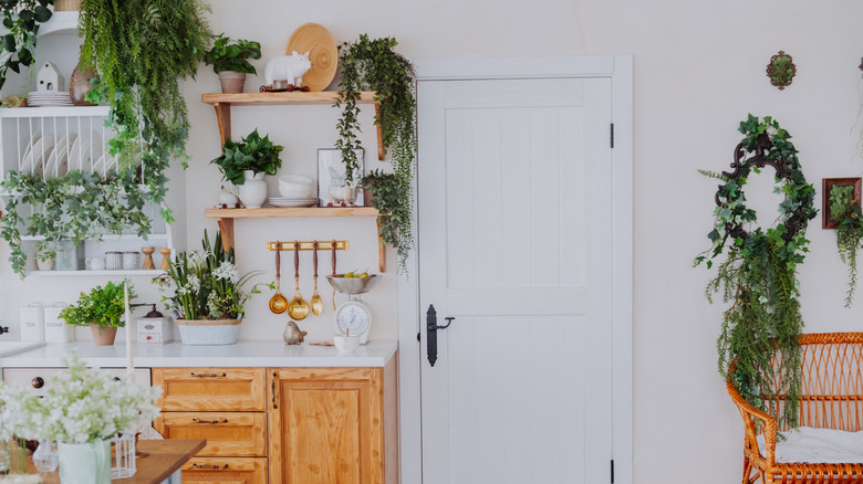a kitchen with a few cascading and hanging plants