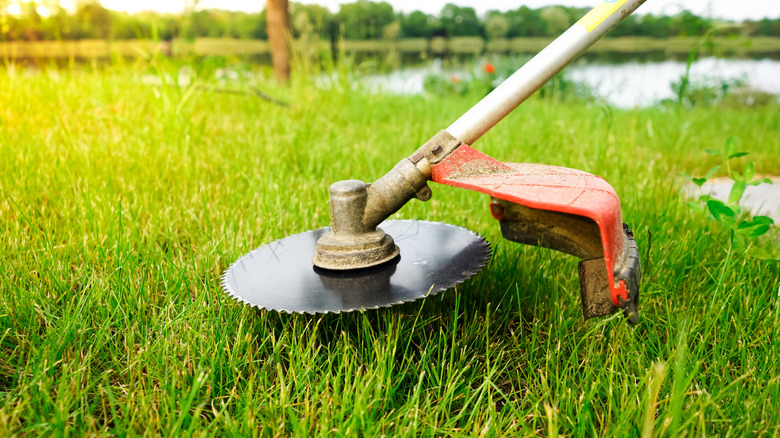 Brush cutter with metal blade in grass