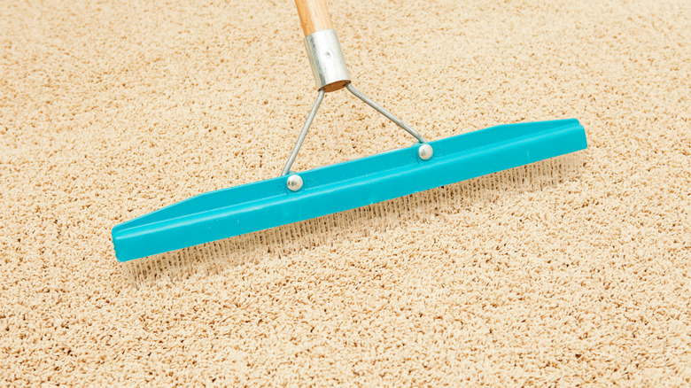 carpet rake on floor