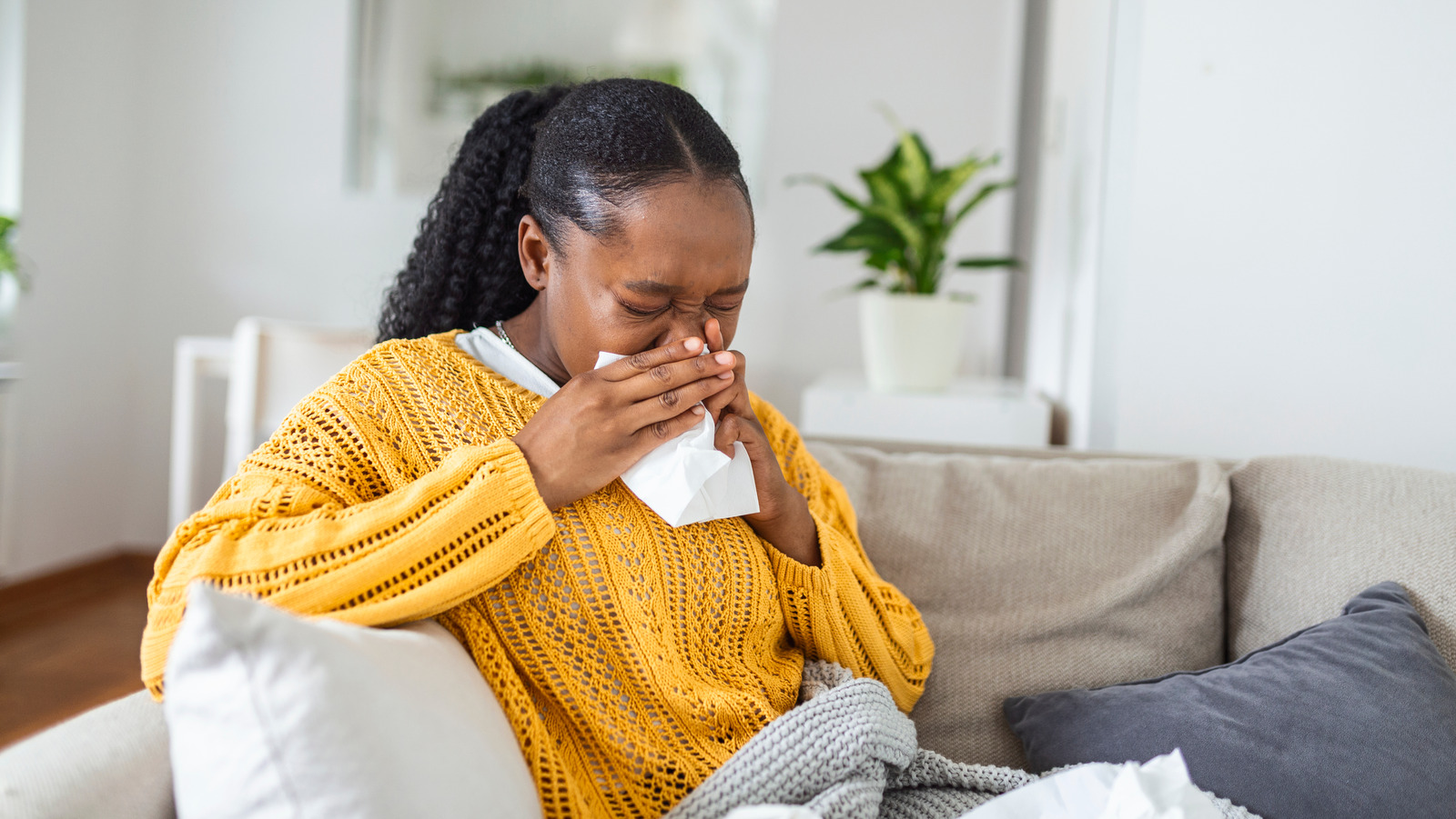 Feather Sofa Allergies Baci Living Room