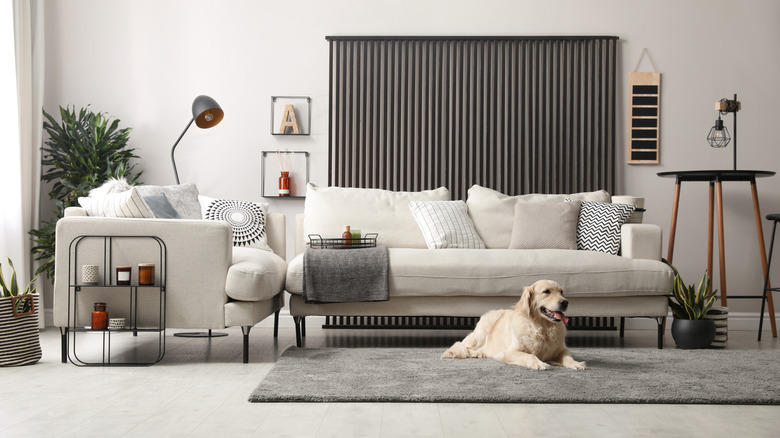 cozy living room with sofa