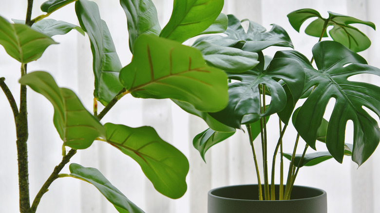 Imitation houseplants in pot