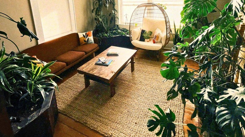 Simple living room filled with plants and a brown couch