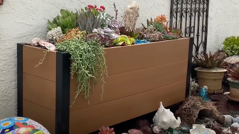 Raised planter filled with succulents